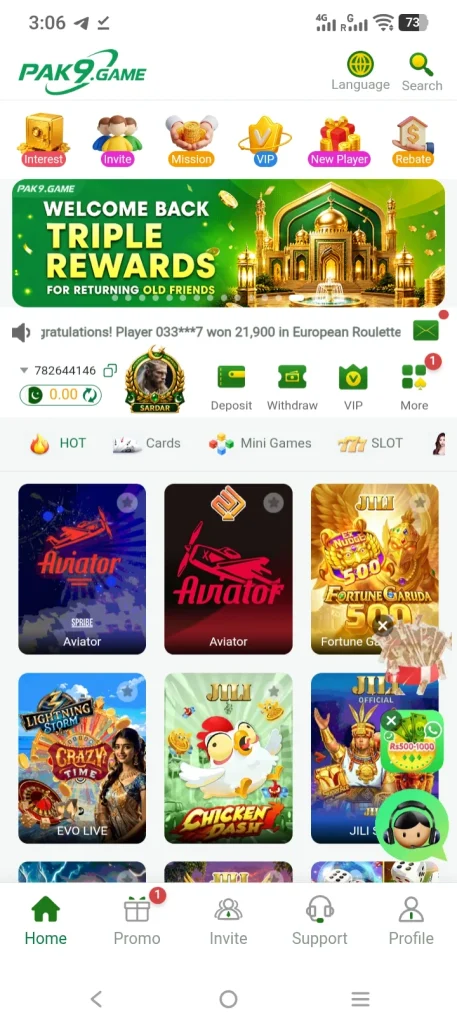 Pak9 Game